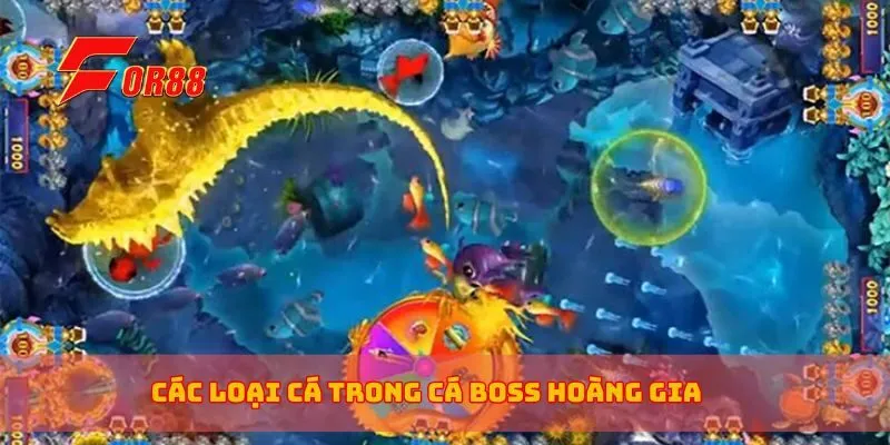 Các loại cá trong cá boss hoàng gia